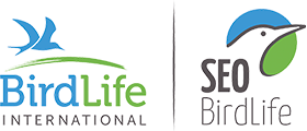 SEOBirdLife